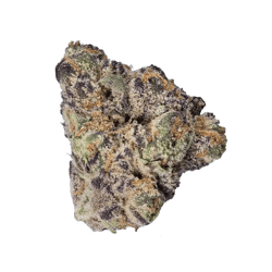 enua 33/1 GGZ CA Gogurtz